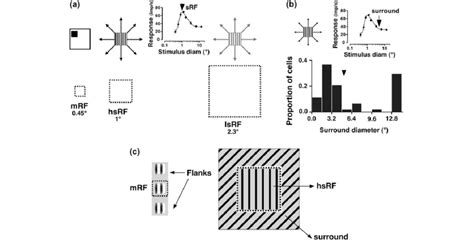 Extent of the receptive field (RF) and surround field in macaque V1 ...