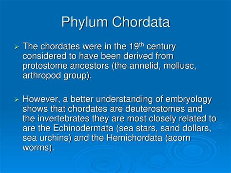 Phylum Chordata The chordates are a group of particular interest to us as we belong to it, being ...