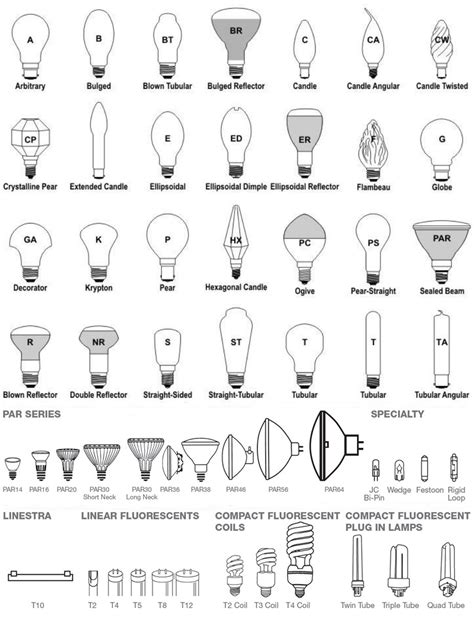 Light Bulb Sizes Chart