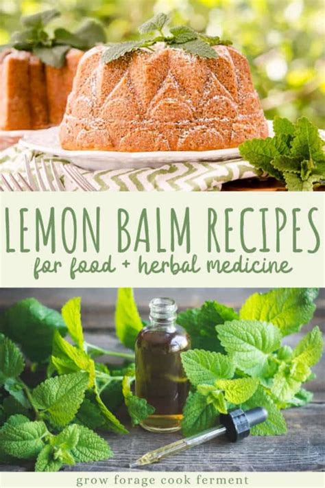 Lemon Balm Recipes: food, drinks, remedies, + more!