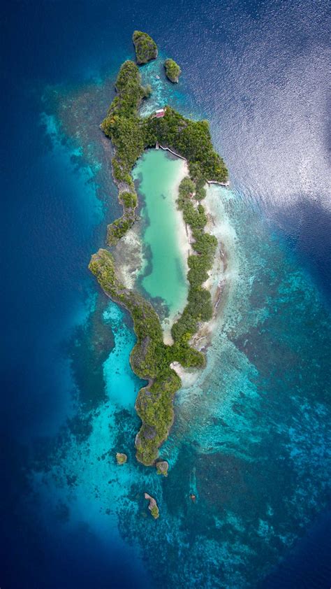 Raja Ampat Snorkeling Liveaboard