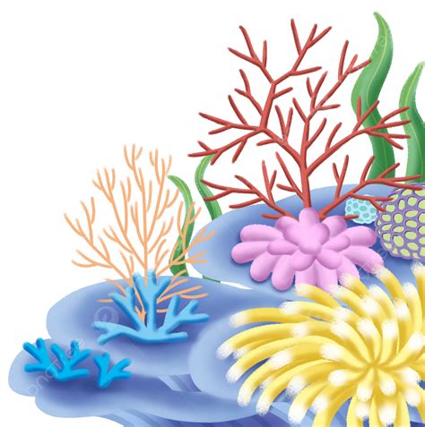 Coral Reefs PNG Picture, Coral Reef Marine Animals Simple Cartoon, Coral, Coral Reef, Coral ...