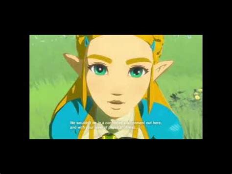 Breath of The Wild Link & Zelda In Each Memory Cutscenes edit #thelegendofzelda #botw #shorts ...