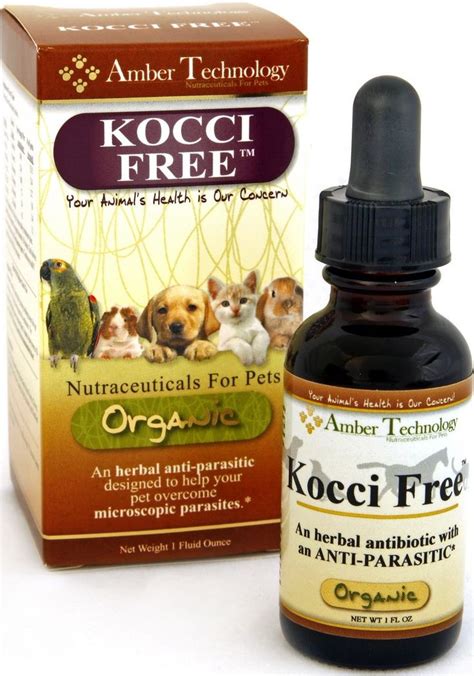 Coccidia In Kittens Treatment