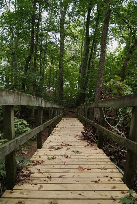 Cedars of Lebanon State Park, a Tennessee State Park located near ...