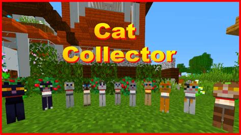 Collecting all the cat breeds in Minecraft - YouTube