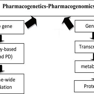 (PDF) Pharmacogenomics: Overview, Applications, and Recent Developments