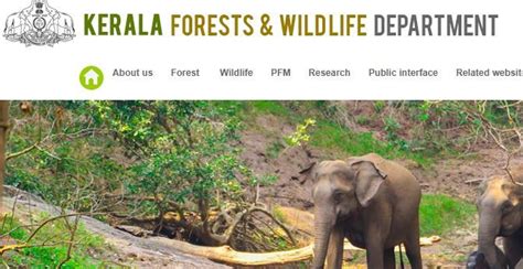 Kerala Forest Department Jobs കേരള വനംവകുപ്പ് ജോലി | Forest department, Conservation biologist ...