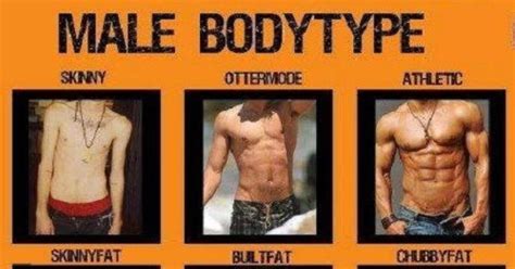 Lean Vs Muscular Body Types