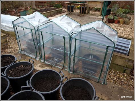 Mark's Veg Plot: Planting potatoes in containers