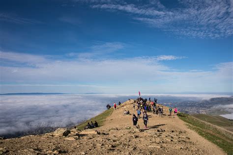 mission peak Archives - East Bay Wild!