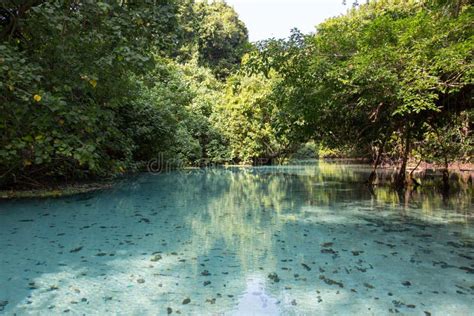 Blue Hole in Paradise, Vanuatu Stock Image - Image of beauty, destinations: 59981857