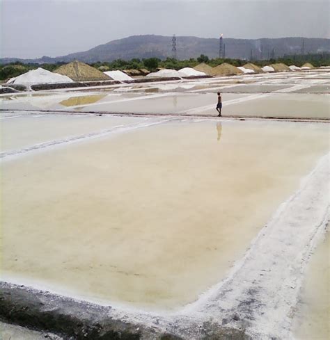 File:Salt Pan Wadala.jpg - Wikimedia Commons