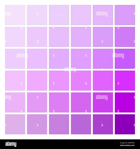 Purple Hues Color Palette Array. EPS 10 Stock Vector Image & Art - Alamy