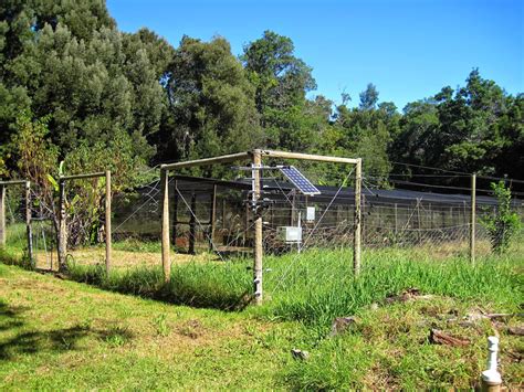 Creating a Garden Fence Kit | Garden Design Ideas