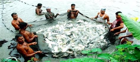 inland fisheries enhancement from open waters, achieving blue revolution