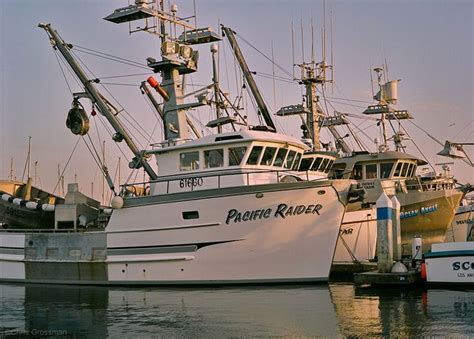 Commercial Purse Seiner Fishing Boats - GA645zi - Pro 160S | Ocean fishing boats, Boat, Fishing ...