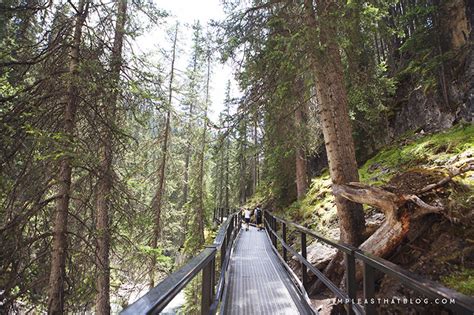 5 Family Friendly Hiking Trails in Banff National Park