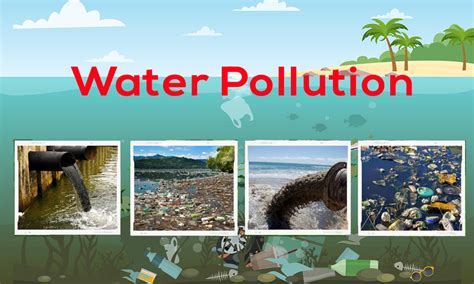 What is Water Pollution: Concern, Causes & Effects- Netsol Water