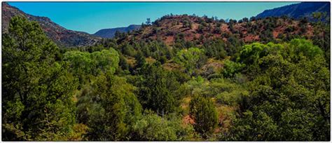 Sedona Desert Forest Sedona Arizona Every Shade Of Green | Flickr