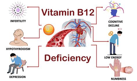 Herbal Remedies for Vitamin B12 Deficiency, Ayurvedic Treatment ...