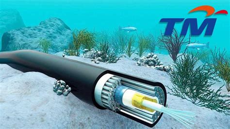 TM Announces Maintenance On Submarine Cable Fault - tech.netonboard.com