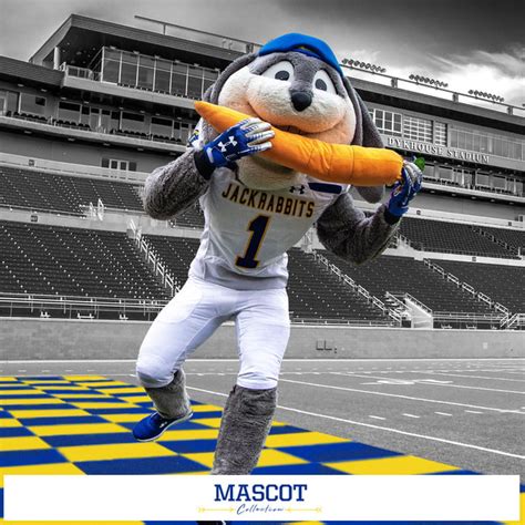 South Dakota State Jackrabbits - Mascot - College Wall Art