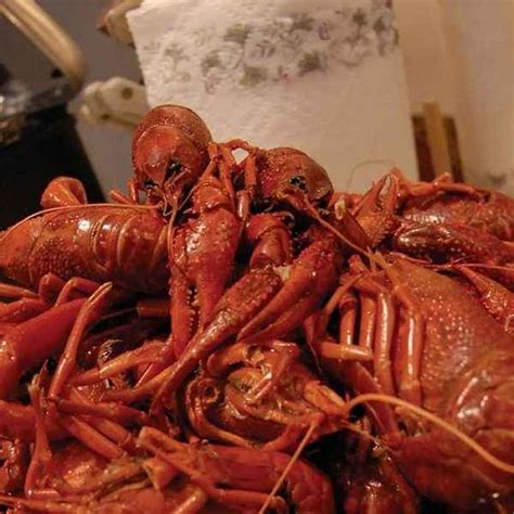 Easy Boiled Crawfish - Recipe Goldmine