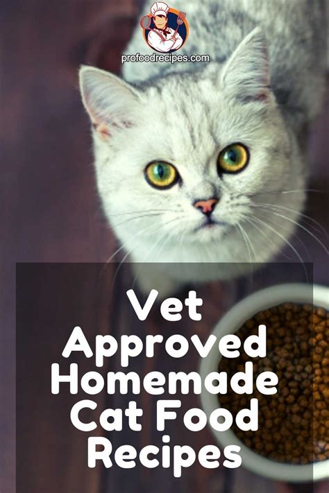 7 Best Vet Approved Homemade Cat Food Recipes