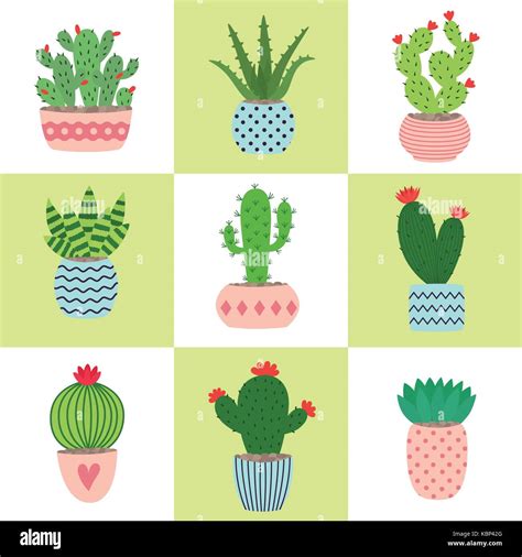 Cute Succulent Plant Drawing Red orange plants in terrariums set