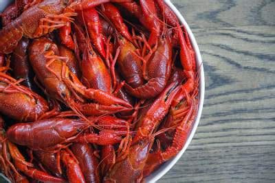 How to Prepare and Eat Crayfish - Recipe Goldmine