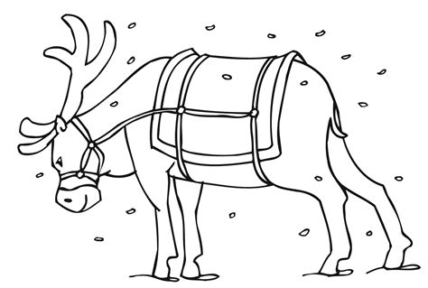 Free Printable Reindeer Coloring Pages For Kids