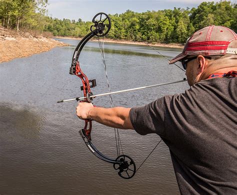 Top 5 Best Bowfishing Bows 2018: Bows for Bowfishing Reviews - Navy Mars