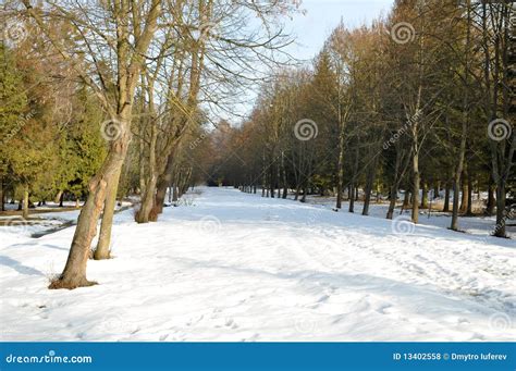 City park in winter stock photo. Image of postcard, blizzard - 13402558