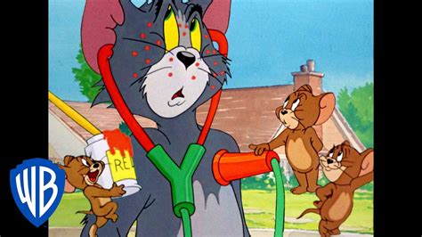 Tom jerry cartoon full - billacellphone