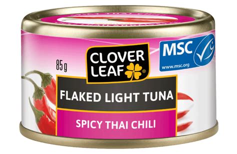 Spicy Tuna Taco Cups - Clover Leaf
