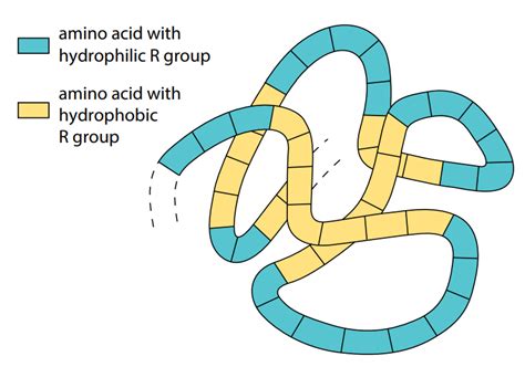 Protein and Peptides: An Inevitable Source of Nutrition (Part 2) : Plantlet