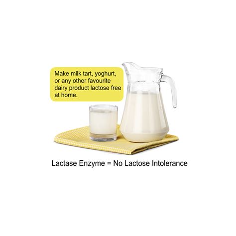 Lactase enzyme - Cheese Making Shop - South Africa