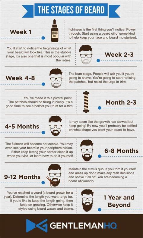 The Stages Of Beard | Grow beard, Beard growth stages, Beard growing tips