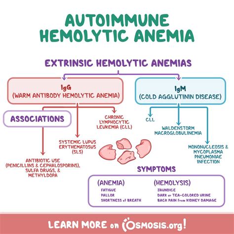 For today's Pathology Review, we... - Osmosis from Elsevier | Facebook