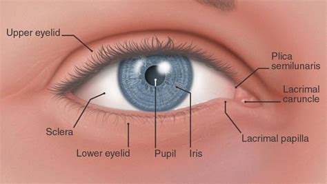 Cornea & External Eye Disease | South Bay Ophthalmology