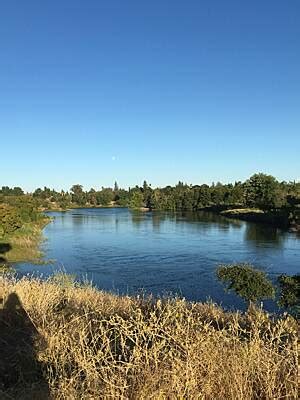 American River Bike Trail (Jedediah Smith Memorial Trail) | California ...