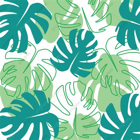 Green Monstera Leaf Vector Design Images, Leaf Monstera Green, Monstera, Leaf, Pattern PNG Image ...