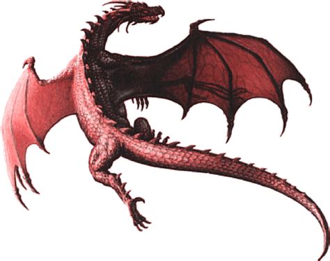 Harry Potter Dragons Dragon PNG Images Transparent Free Download