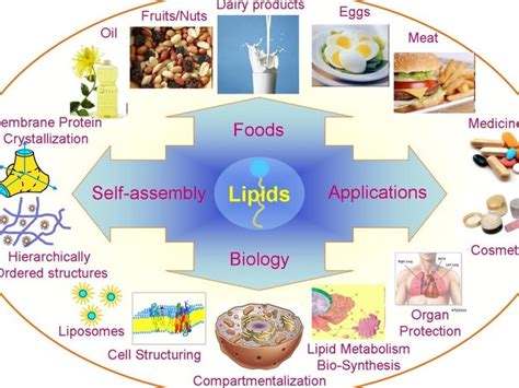 Chemical compounds in cells