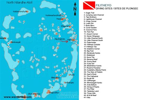 Diving and Snorkeling at Filitheyo Resort Maldives | A PRO Diver Interview