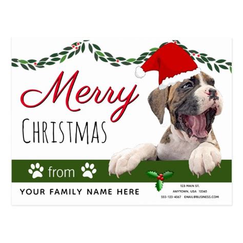 Boxer Dog Holiday Cards- From the Dog Christmas Postcard | Zazzle.com