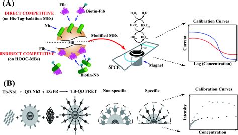 Nanobodies derived from Camelids represent versatile biomolecules for biomedical applications ...