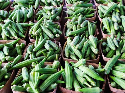 7 Nutrition and Health Benefits of Okra