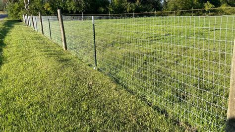 6 Types of Wire Fences - From Farm to Security